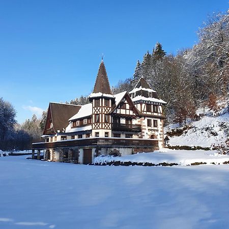 Вилла Le Saint Moulin De La Petite Pierre Lohr Экстерьер фото