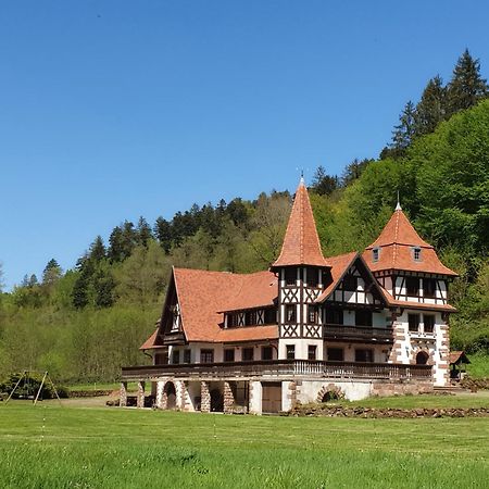 Вилла Le Saint Moulin De La Petite Pierre Lohr Экстерьер фото