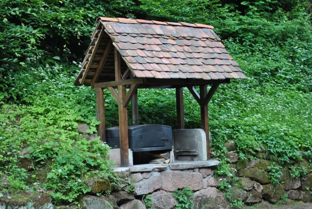 Вилла Le Saint Moulin De La Petite Pierre Lohr Экстерьер фото