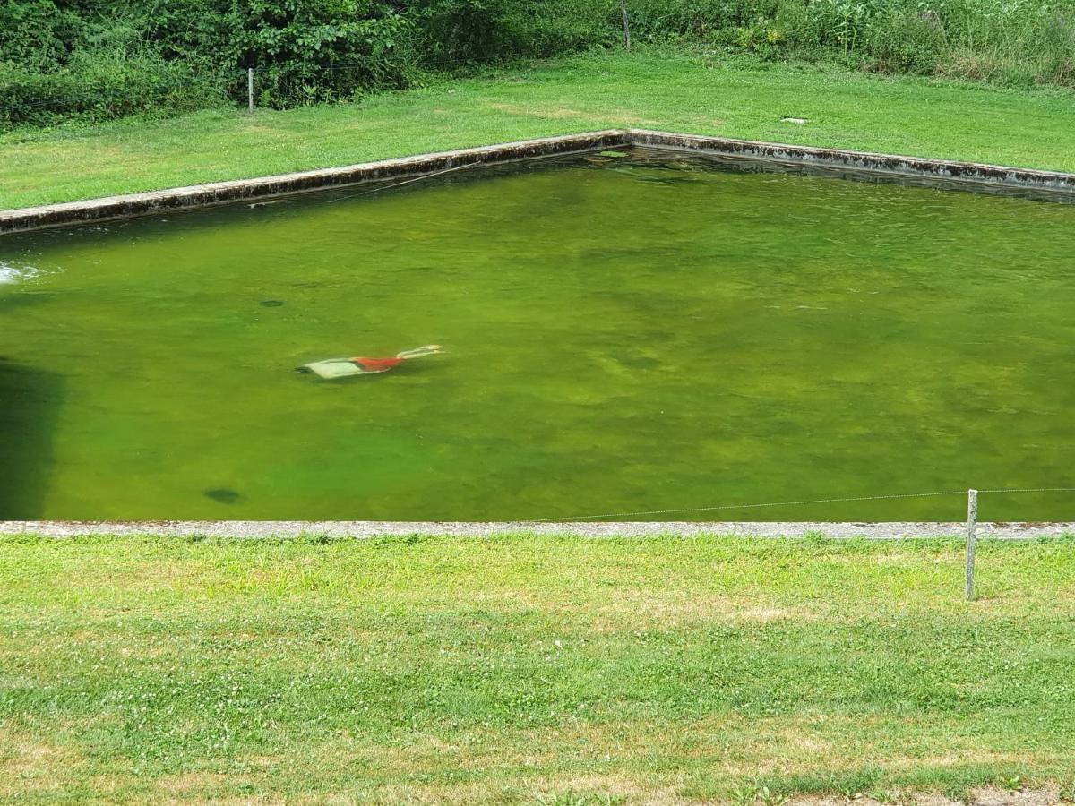Вилла Le Saint Moulin De La Petite Pierre Lohr Экстерьер фото